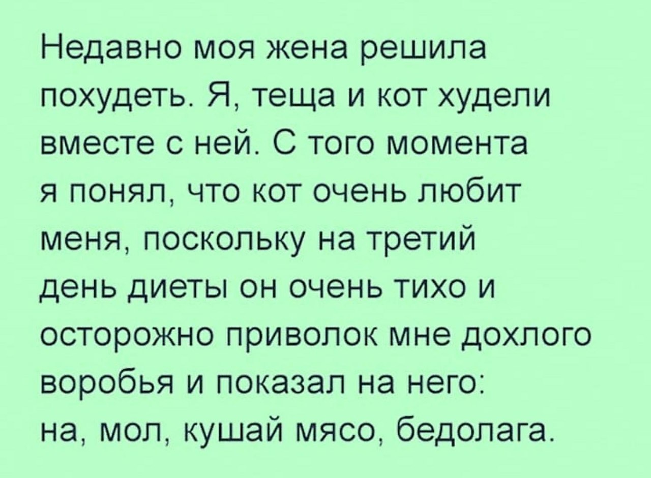 Читаем с юмором. Смешные истории. Смешные истории. З жизни. Смешные истории из жизни. Смешные рассказы из жизни.