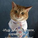 ���� �����, ������, 54 ���� - ��������� 17 ������� 2026 � ������ ������ ��������
