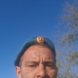 , 40, 
