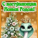 ���� �����, ������, 57 ��� - ��������� 31 ������� 2024 � ������ ������ ��������