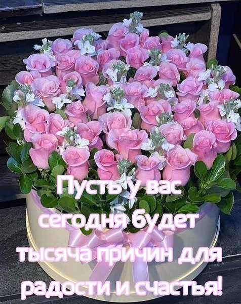 Чтобы старость не подкралась, Мудрость вечною осталась, Чтобы сердце меньше ныло, Чтобы счастья ... - 3