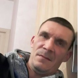 , 43 , 