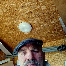 , 46, 