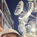 ���� �����, ��������, 53 ���� - ��������� 21 ������� 2025 � ������ ���� ����������