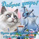 ���� �����, ������, 52 ���� - ��������� 28 ������� 2023 � ������ ���� ����������