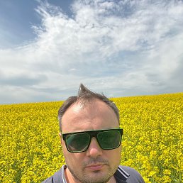 , 33, 