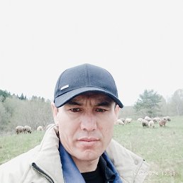  , 35, 