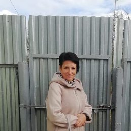 , 53, 