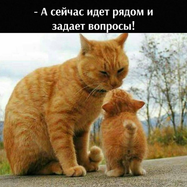 ��� ���� � ����� �� �� - 10 ������ 2026 � 12:55 - 4