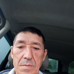 , 53 , 