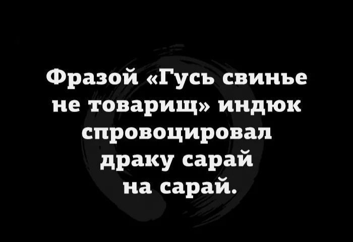 ***Victoria Viktorovna*** - 18  2024  01:45