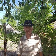 , 60 , 