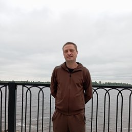 ������, 41 ���, �����