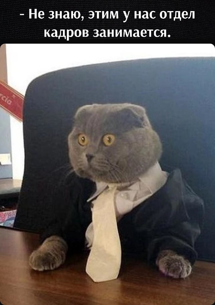       - 5  2025  16:33 - 2