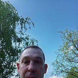 , 43 , 
