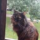 ���� ����, �����, 65 ��� - ��������� 20 ������ 2025 � ������ ������ ��������