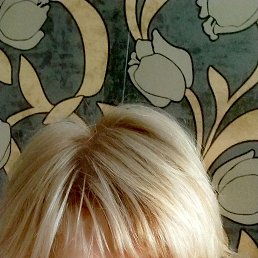, 55, 