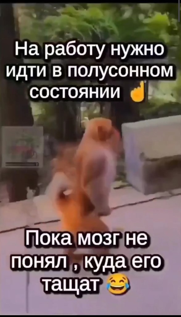 ������ ��� ����� �������� ����� �� ������