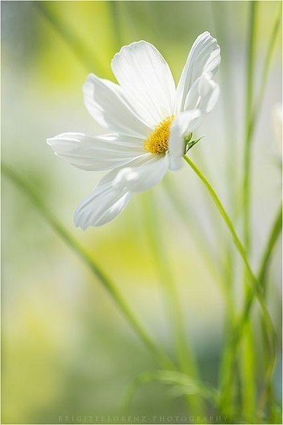     ,    . ,   ,   ... - 3