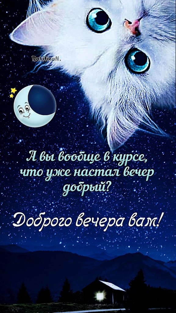   ,    . - 5  2024  17:12 - 4