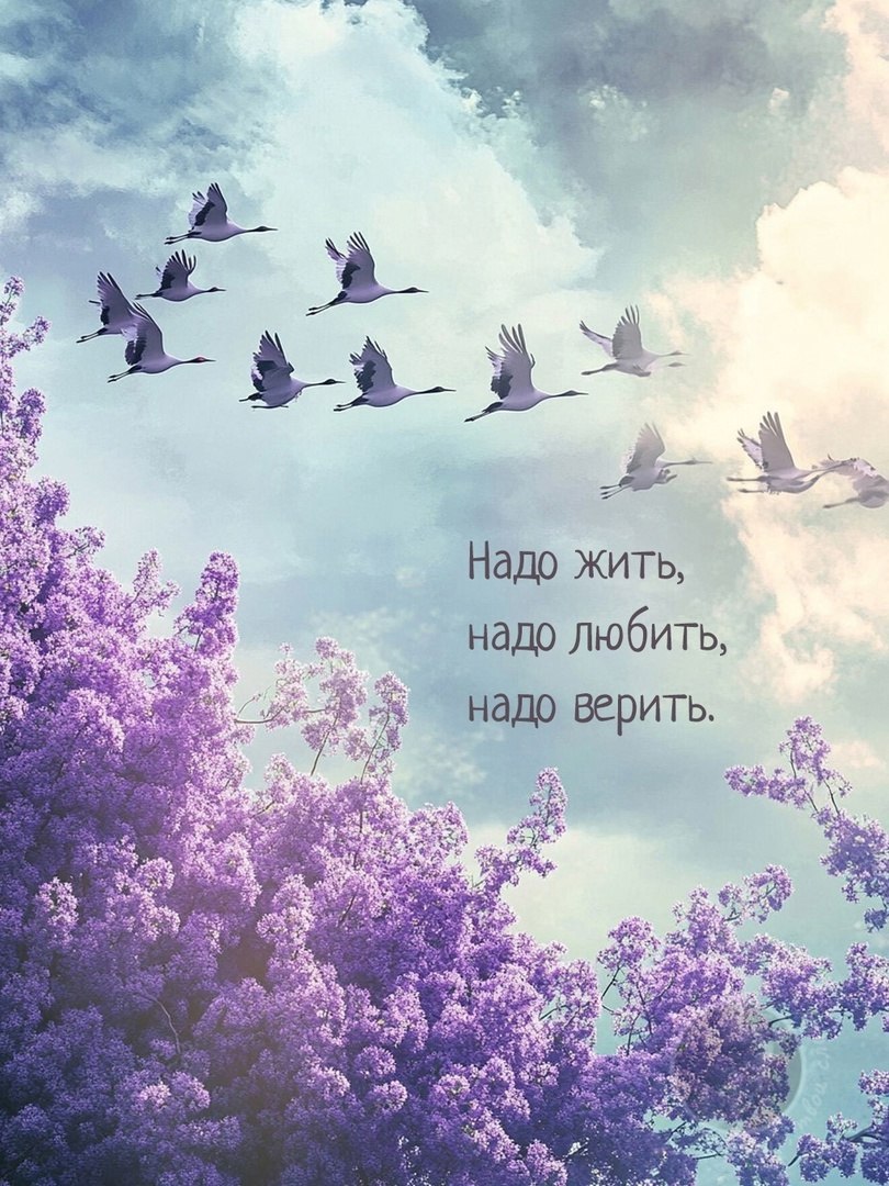 Шекспир сказал: Я всегда чувствую себя счастливым, Ты знаешь, почему? Потому что я ничего ни от кого ...