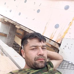 , 43, 