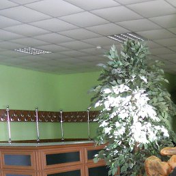 �������, �����������, 50 ���