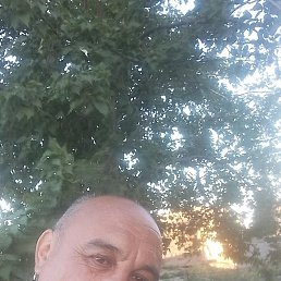 , 45 , 