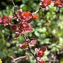 �������� �� ������� ������25�