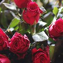 ���� �� ������� ���� ����������