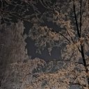 ���� ������, ��������, 50 ��� - ��������� 15 ����� 2025 � ������ ������ ��������
