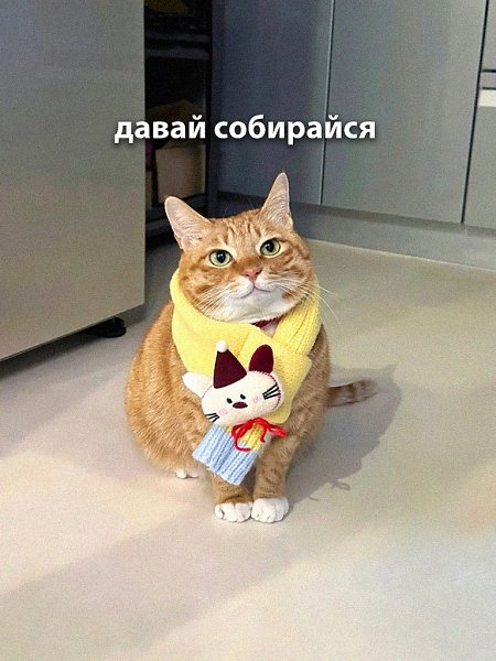 ��� �� ���-�� ������� � ������...