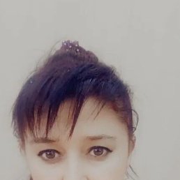 ���� ������, ������������, 53 ���� - ��������� 4 ������ 2026