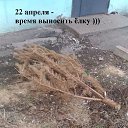 ���� ~����~, �����������-��-�����, 53 ���� - ��������� 25 ������ 2024 � ������ ������ ��������