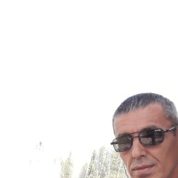 , 49, 