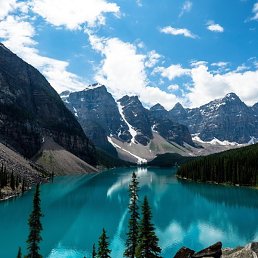 �����, �����, 65 ���