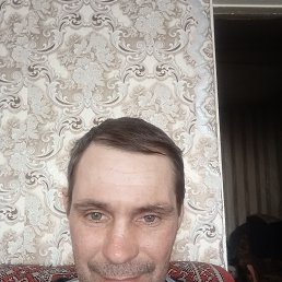 , 41, 