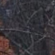 , 67 , 