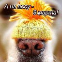 ���� ���, �������� - ��������� 7 ����� 2026 � ������ ������ ��������