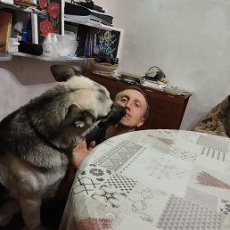 , , 48 