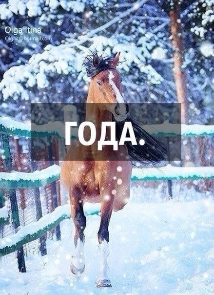    - 26  2025  20:47 - 6