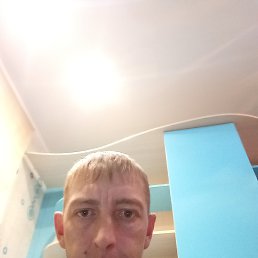 , 39, 