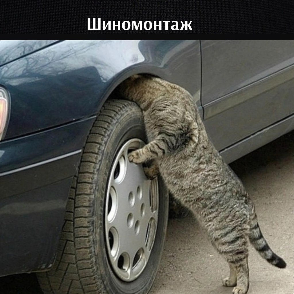 : 