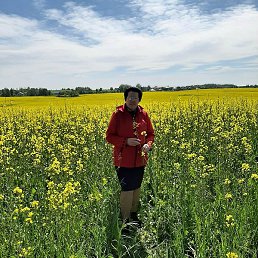 ������, �����, 65 ���