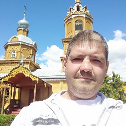 , 43 , 
