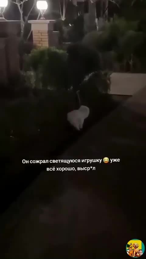������� ������ ��� ������ ���������!