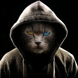 ����, ������, 44 ����