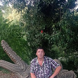 ���� ���������, �����, 55 ��� - ��������� 21 ���� 2024