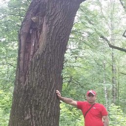 Salman, , 46 