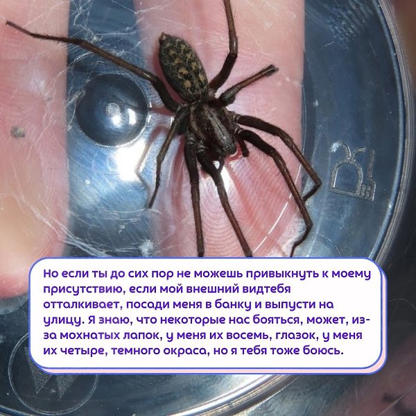 Ec�� ��y����� ������� ����, �����y����, �� ������ ����. - 3